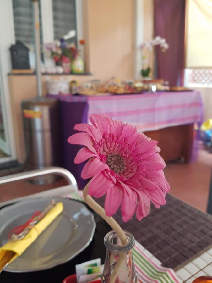 Ghiro Ghiotto Bed & Breakfast Pietra Ligure Exterior photo